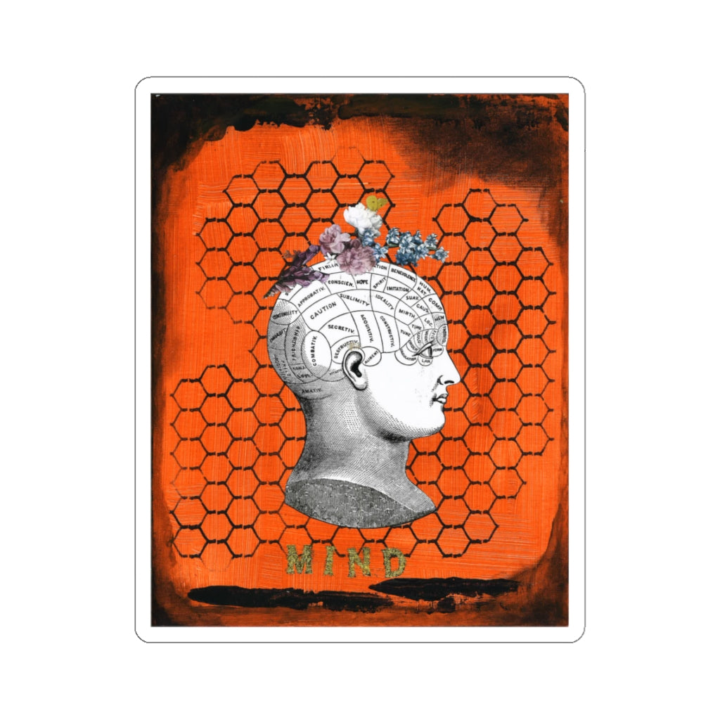 Amber DeSilva, Mind Sticker
